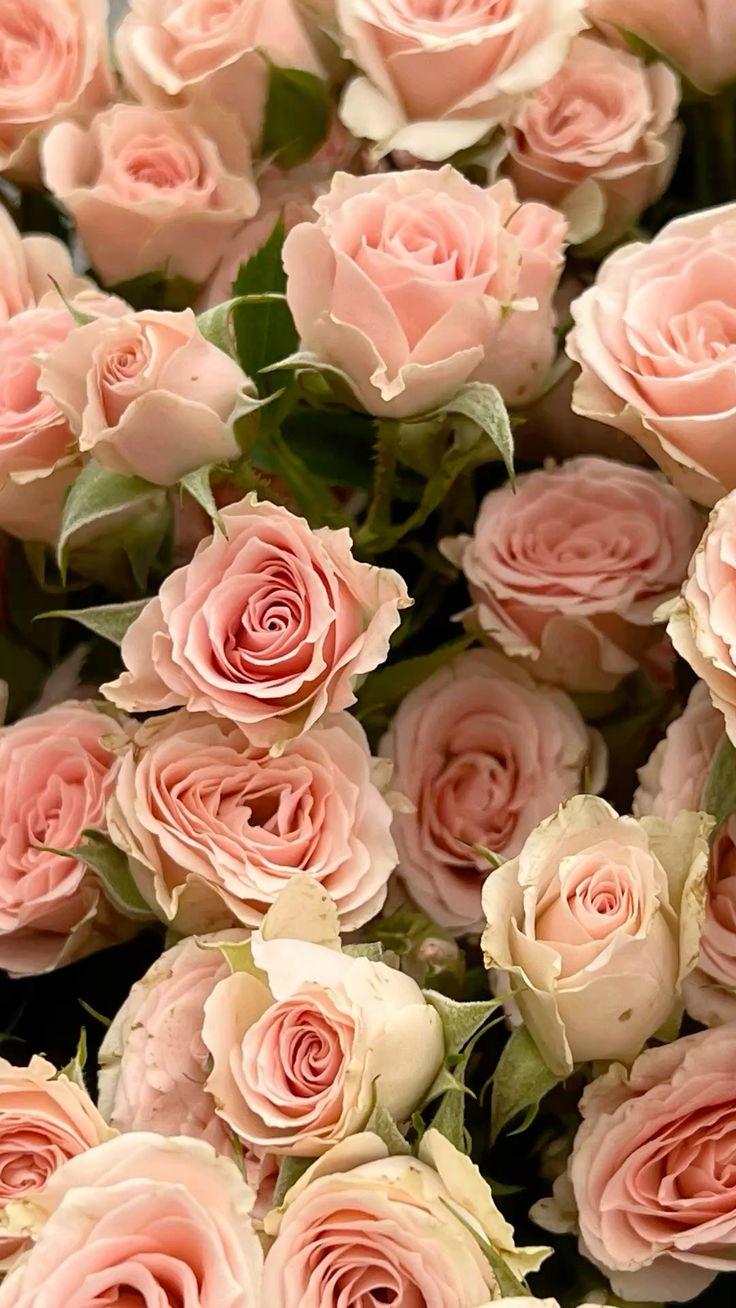 Clear Practice Journey workshop space where corporate flower arrangements are designed and prepared for business delivery